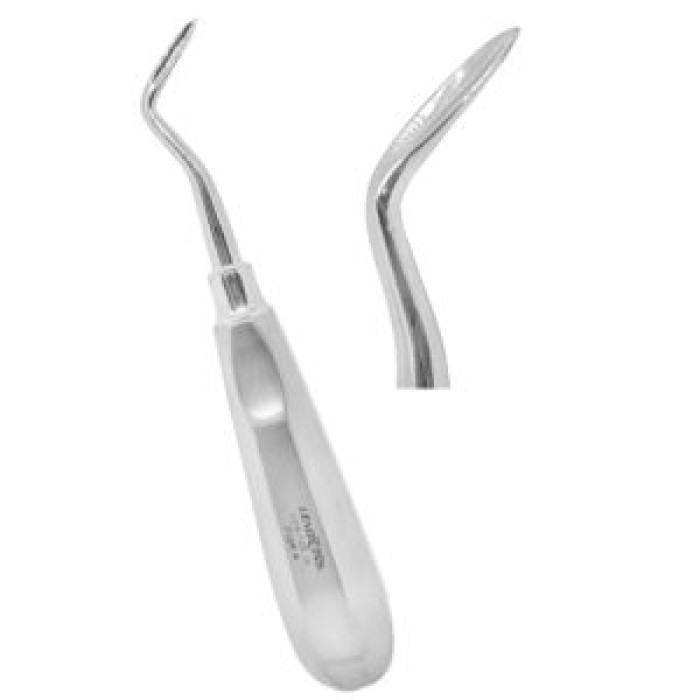 Apical Root Elevators Fig.4 Left – Precision Dental Surgical Tool