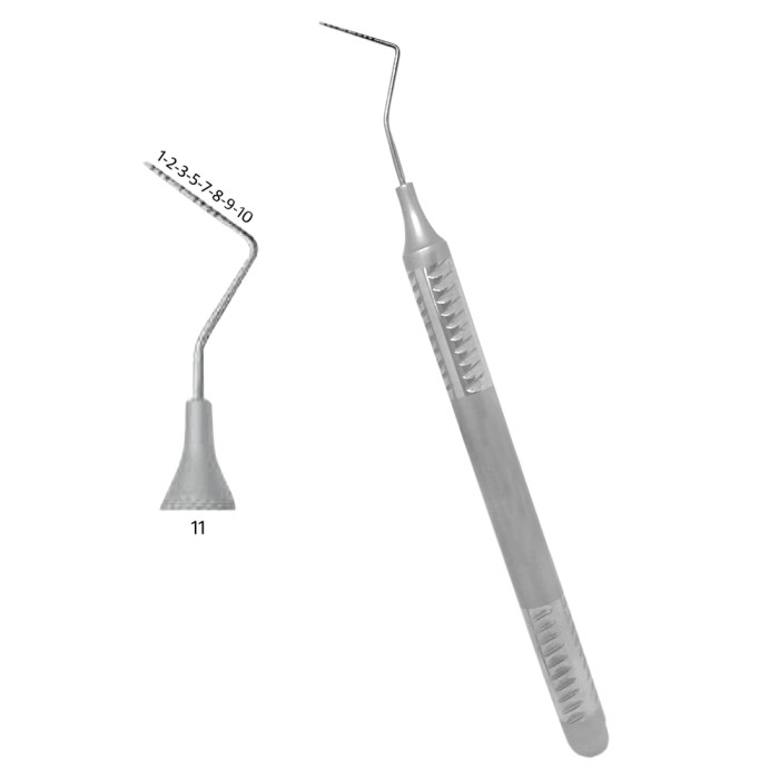 10 Williams Thin Probe, Single Ended | Precision Periodontal Diagnostic Tool