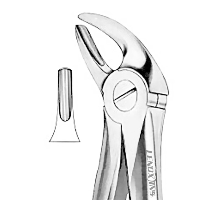 Extracting Forceps Fig. 4 | Precision Tool for Lower Incisor and Canine Extractions