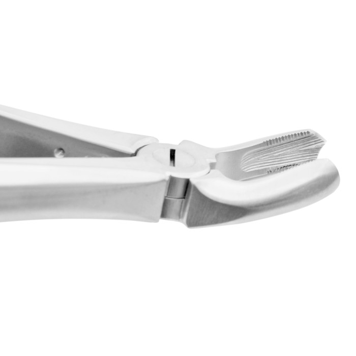 Extracting Forceps Fig. 17 | Precision Tool for Upper Right Molar Extractions