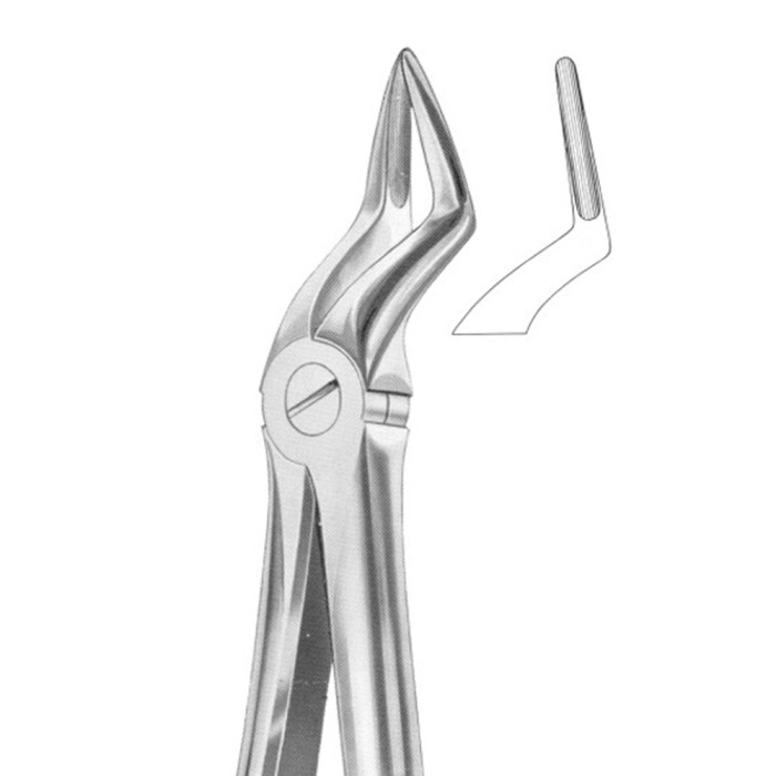 Extracting Forceps 51A Precision Tool for Upper Root Extractions