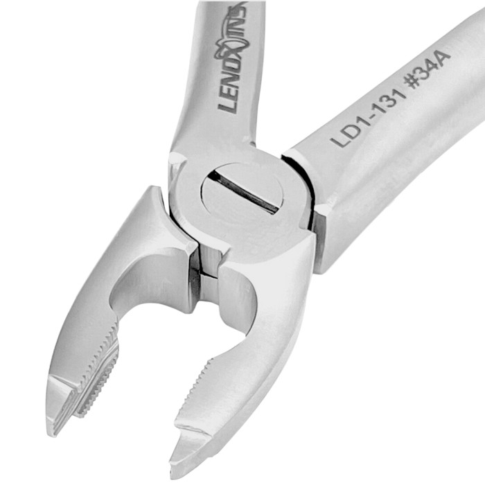 Deep Gripping Forceps 34A Precision Tool for Upper Centrals and Canines Extractions