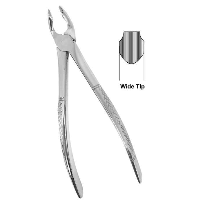 Deep Gripping Forceps 35A Precision Tool for Upper Incisors and Premolars Extractions