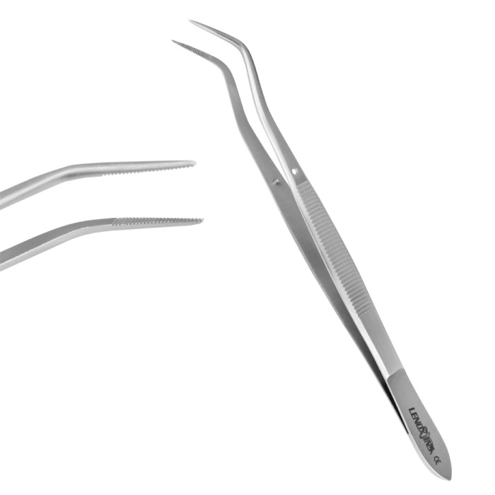 Meriam 16cm Cotton Plier | Precision Tool for Efficient Dental Procedures