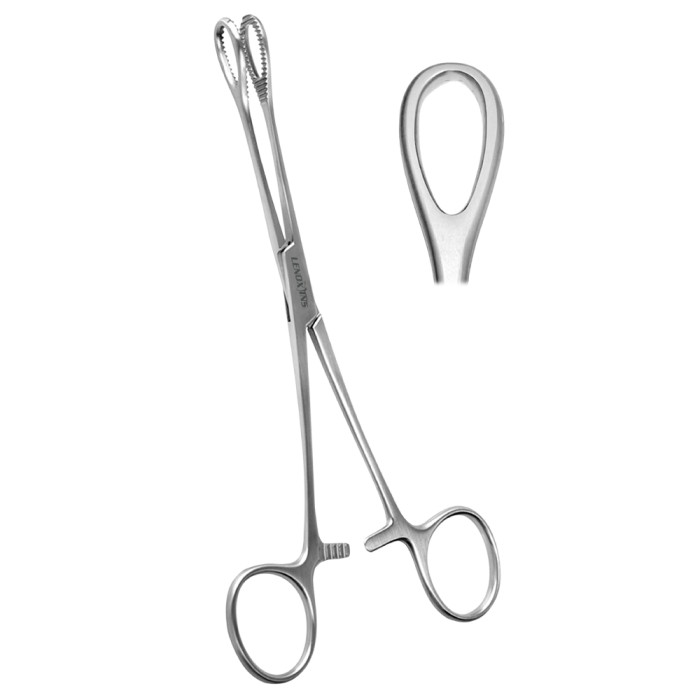 Foerster Dressing Forceps 20cm | Premium Surgical Tool for Dressing and Sponge Handling