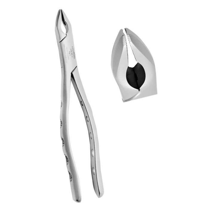 Extracting Forceps Fig. 1 | Precision Tool for Upper Anterior Teeth Extractions