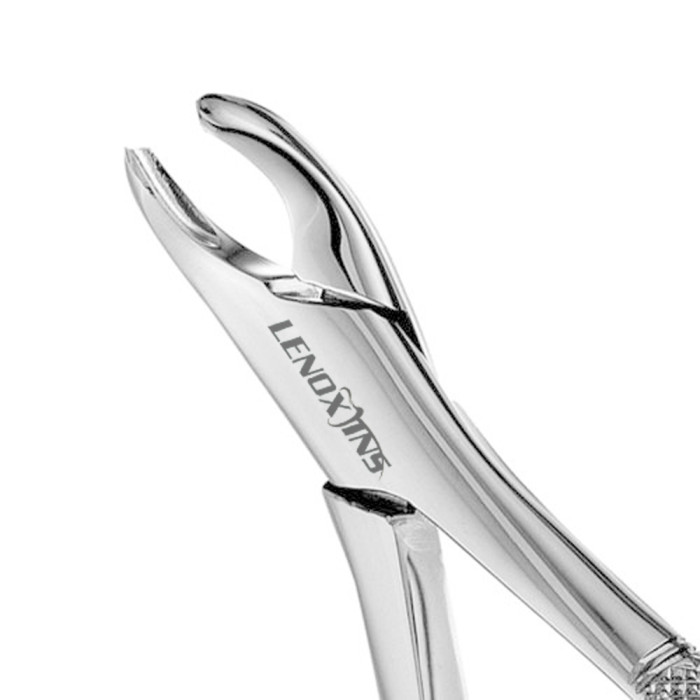Extracting Forceps Harris Fig. 18R | Precision Tool for Efficient Tooth Extraction