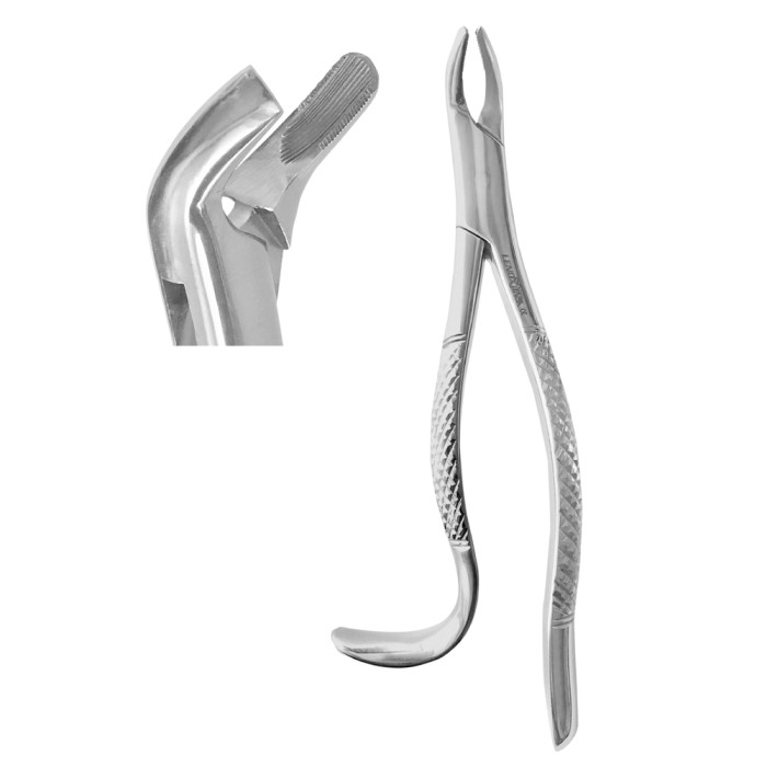 Extracting Forceps Fig. 24 | Specialized Tool for Upper Molar Extractions