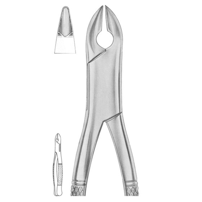 Extracting Forceps 99C Kells Precision Tool for Upper Incisor and Canine Extractions