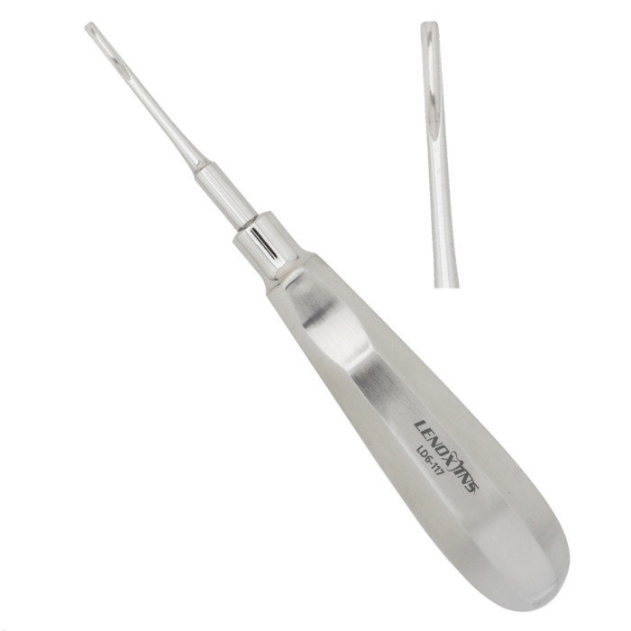 301 Root Elevators Bein 2MM | Precision Tool for Atraumatic Dental Extractions