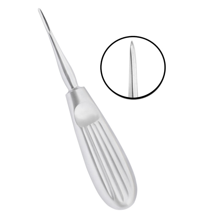 Root Elevators Bein 2.5MM | Precision Tool for Atraumatic Dental Extractions