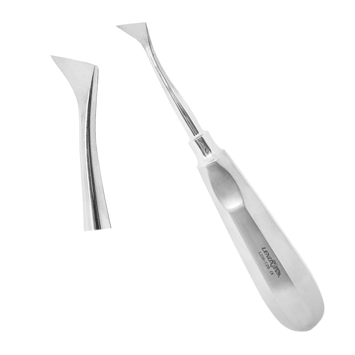 Root Elevators Cryer Right Small | Precision Tool for Atraumatic Dental Extractions