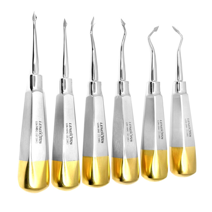 Bernard Elevators Set of 6 | Precision Tools for Dental Extractions