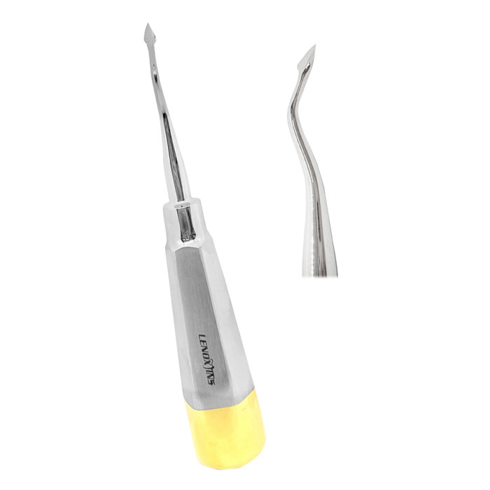 Bernard Root Elevators Out Offset | Precision Tool for Atraumatic Dental Extractions