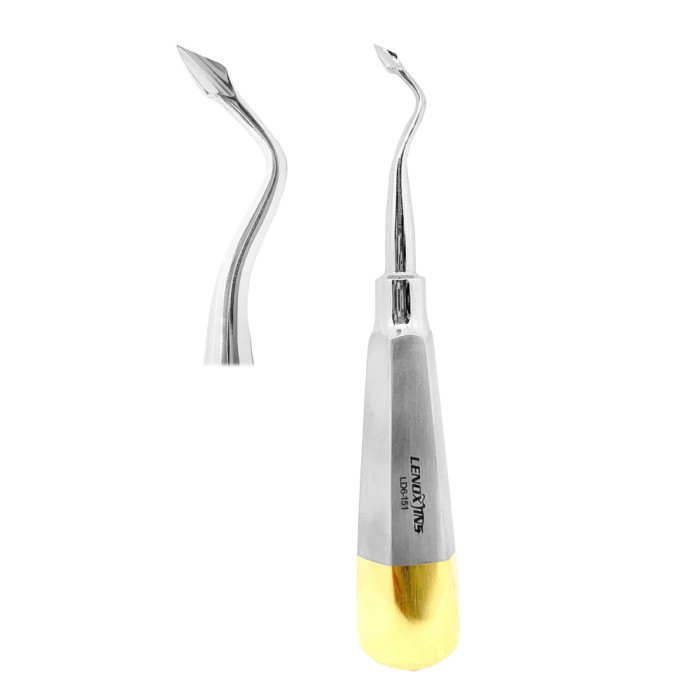 Bernard Root Elevators RIGHT | Precision Tool for Atraumatic Dental Extractions