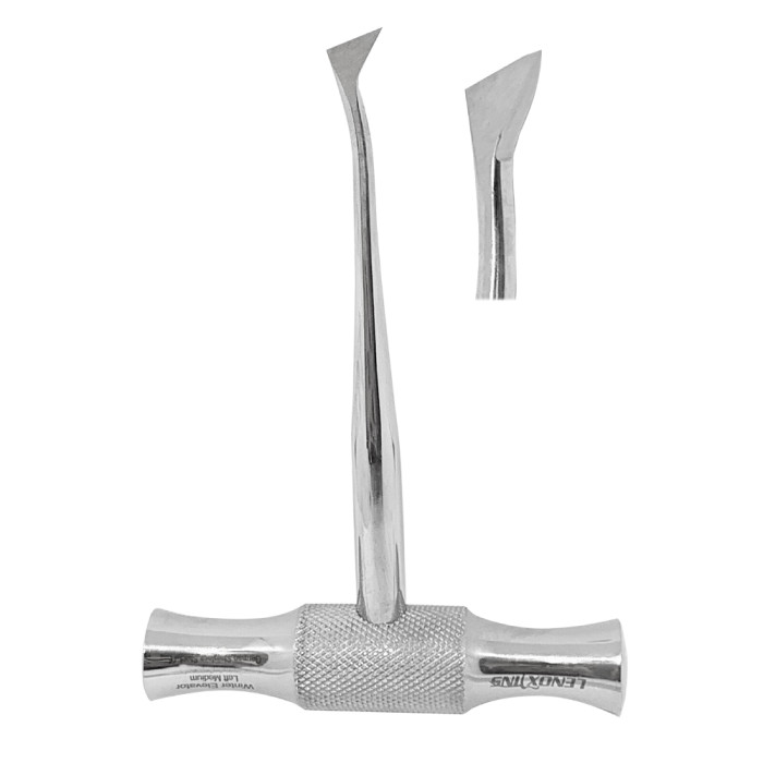 Root Elevators Winter 11L | Precision Tool for Atraumatic Dental Extractions