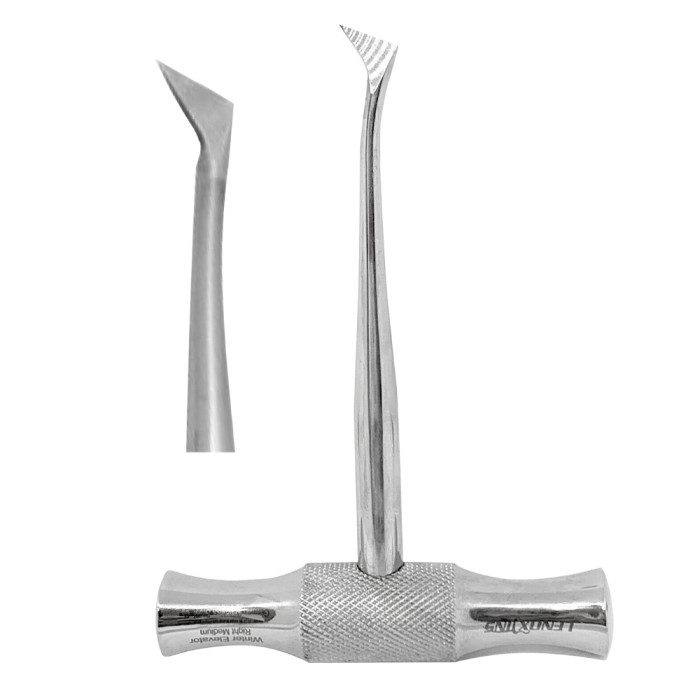 Root Elevators Winter 11R | Precision Tool for Atraumatic Dental Extractions