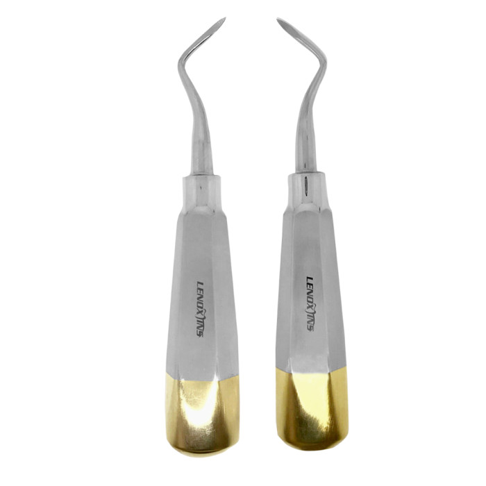 Heidbrink Root Tip Pick Elevator Set Right/Left  Precision Tools for Atraumatic Root Tip Removal