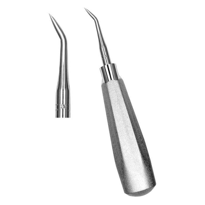 Cogswell B Elevator | Precision Dental Extraction Instrument