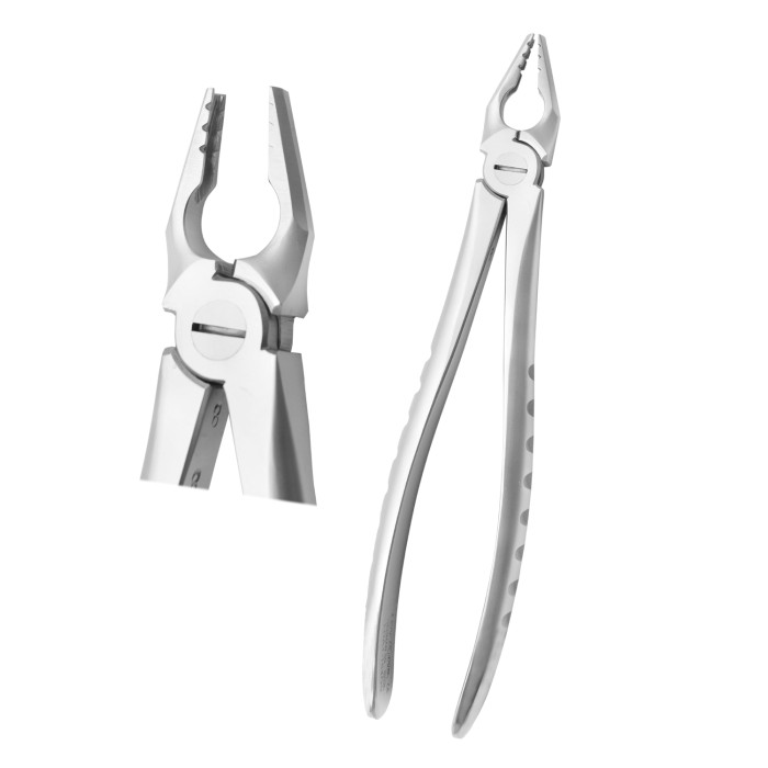 Premium Deep Gripping Extracting Forceps Upper Anterior
