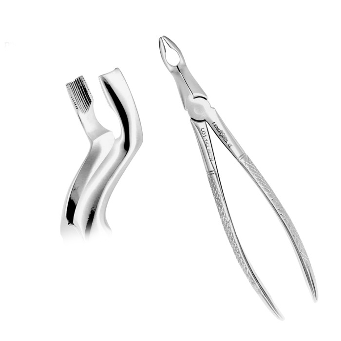 Deep Gripping Forceps 67N  Precision Tool for Lower Third Molar Extractions